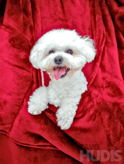 Raudonas kangaroo hudis