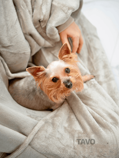 Khaki kangaroo hudis