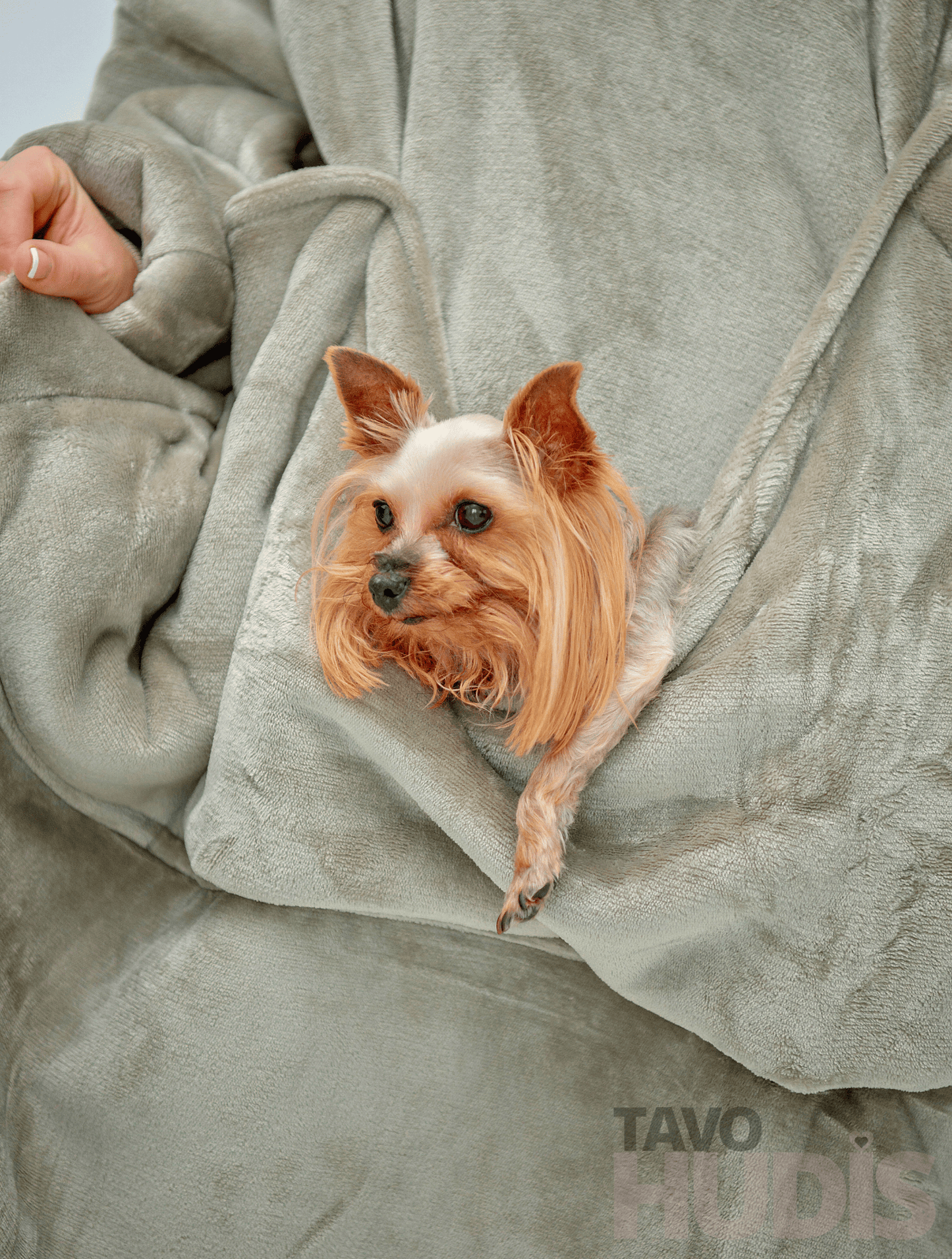 Khaki kangaroo hudis